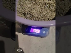 PE300 Plastic Desiccant Masterbatch Polyethyleen Drager Injection Molding