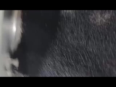 Zwarte droogmiddel Masterbatch Defoaming Masterbatch